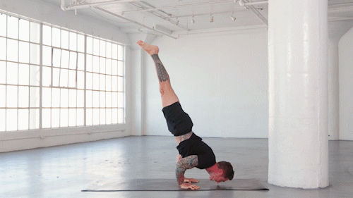 Handstand push up online